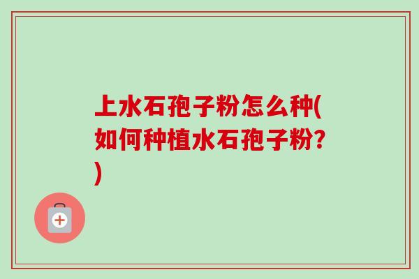 上水石孢子粉怎么种(如何种植水石孢子粉?)