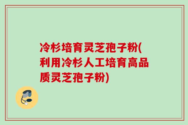 冷杉培育灵芝孢子粉(利用冷杉人工培育高品质灵芝孢子粉)