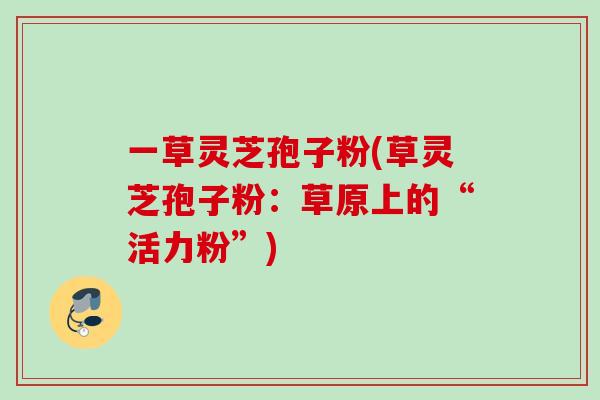 一草灵芝孢子粉(草灵芝孢子粉:草原上的“活力粉”)