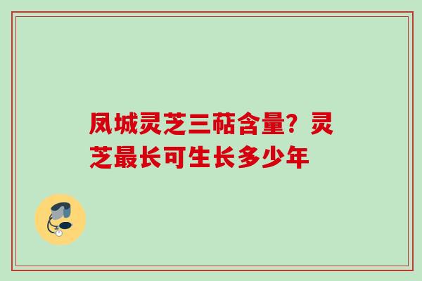 凤城灵芝三萜含量？灵芝最长可生长多少年