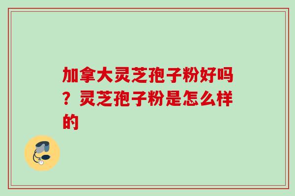 加拿大灵芝孢子粉好吗?灵芝孢子粉是怎么样的