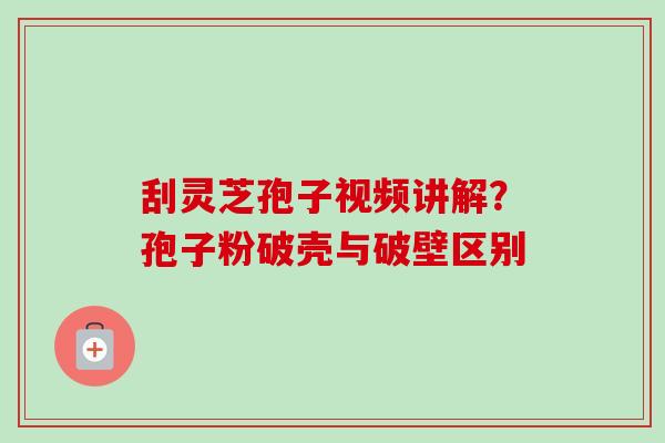 刮灵芝孢子视频讲解?孢子粉破壳与破壁区别 刮灵芝孢子视频讲解?孢子粉破壳与破壁区别