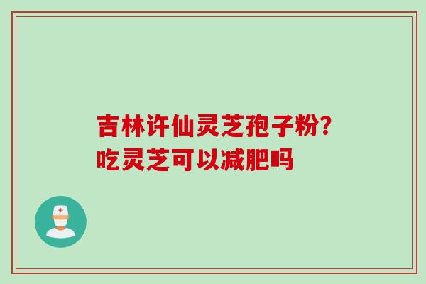 吉林许仙灵芝孢子粉?吃灵芝可以减肥吗