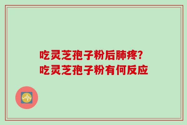 吃灵芝孢子粉后肺疼?吃灵芝孢子粉有何反应
