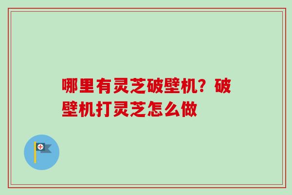 哪里有灵芝破壁机？破壁机打灵芝怎么做