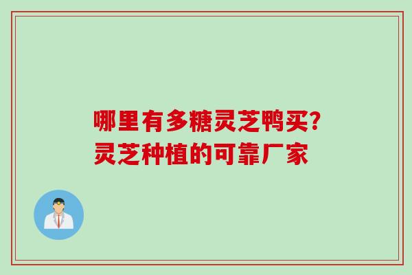 哪里有多糖灵芝鸭买?灵芝种植的可靠厂家