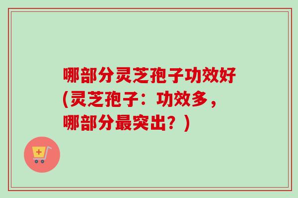 哪部分灵芝孢子功效好(灵芝孢子:功效多,哪部分最突出?)