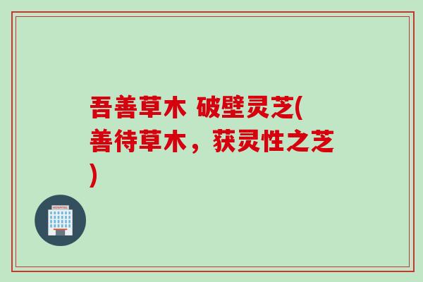 吾善草木 破壁灵芝(善待草木,获灵性之芝)