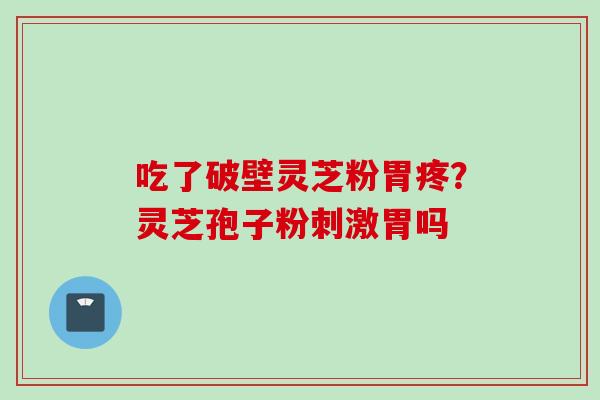 吃了破壁灵芝粉胃疼？灵芝孢子粉刺激胃吗