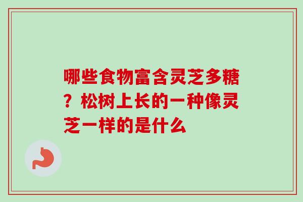 哪些食物富含灵芝多糖？松树上长的一种像灵芝一样的是什么