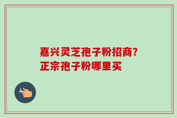 嘉兴灵芝孢子粉招商?正宗孢子粉哪里买