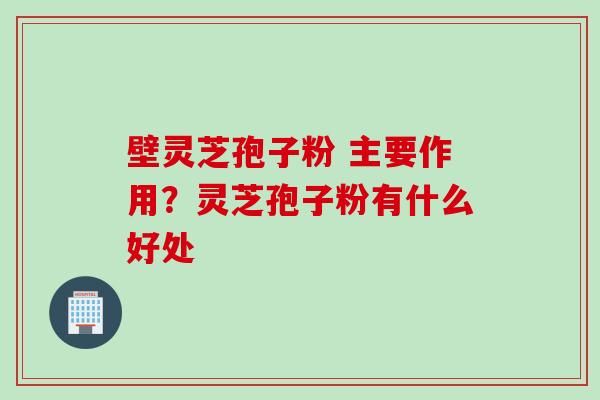 壁灵芝孢子粉 主要作用?灵芝孢子粉有什么好处