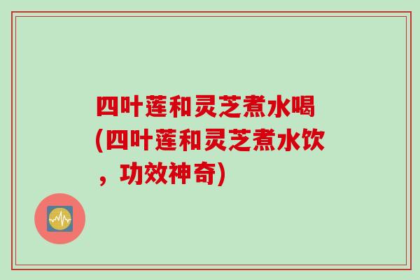 四叶莲和灵芝煮水喝 (四叶莲和灵芝煮水饮,功效神奇)