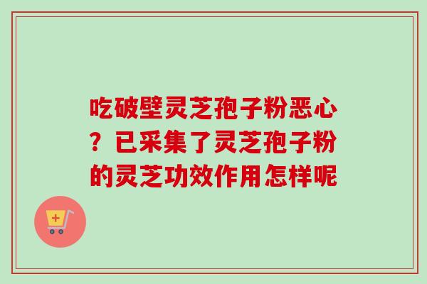 吃破壁灵芝孢子粉恶心?已采集了灵芝孢子粉的灵芝功效作用怎样呢
