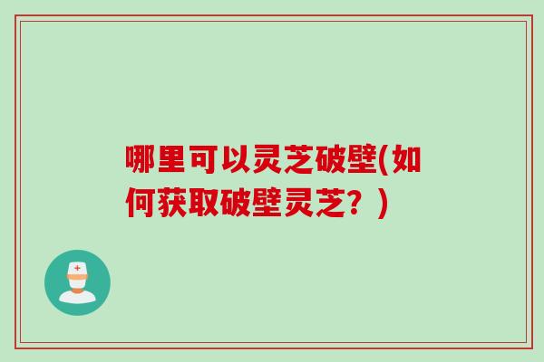哪里可以灵芝破壁(如何获取破壁灵芝?)