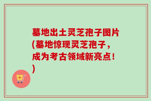墓地出土灵芝孢子图片(墓地惊现灵芝孢子,成为考古领域新亮点!)