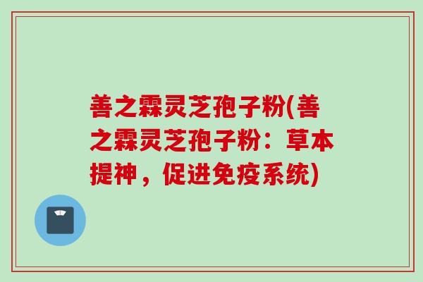 善之霖灵芝孢子粉(善之霖灵芝孢子粉：草本提神，促进免疫系统)