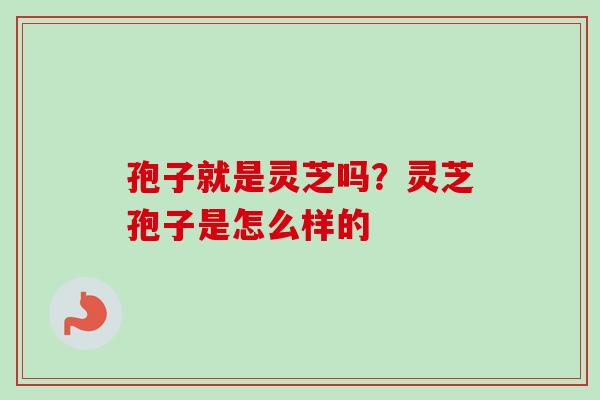 孢子就是灵芝吗?灵芝孢子是怎么样的