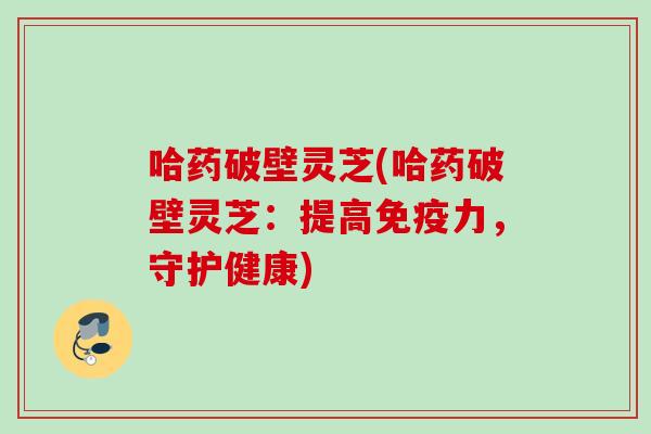 哈药破壁灵芝(哈药破壁灵芝：提高免疫力，守护健康)
