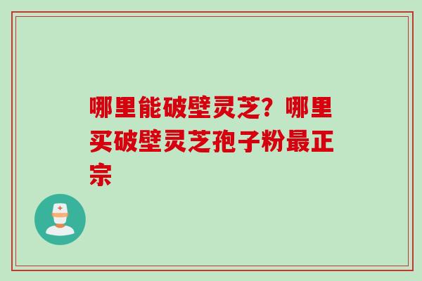 哪里能破壁灵芝？哪里买破壁灵芝孢子粉最正宗