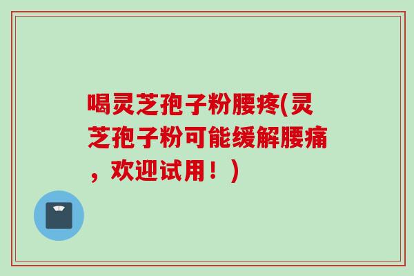 喝灵芝孢子粉腰疼(灵芝孢子粉可能缓解腰痛,欢迎试用!)