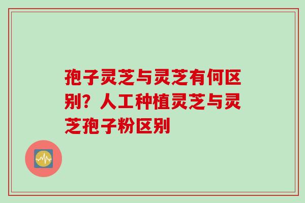 孢子灵芝与灵芝有何区别？人工种植灵芝与灵芝孢子粉区别