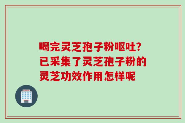 喝完灵芝孢子粉呕吐？已采集了灵芝孢子粉的灵芝功效作用怎样呢