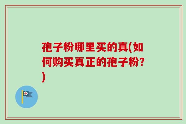 孢子粉哪里买的真(如何购买真正的孢子粉?)