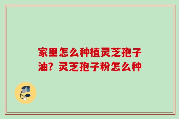 家里怎么种植灵芝孢子油？灵芝孢子粉怎么种