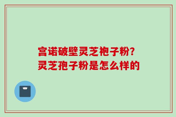 宫诺破壁灵芝袍子粉？灵芝孢子粉是怎么样的