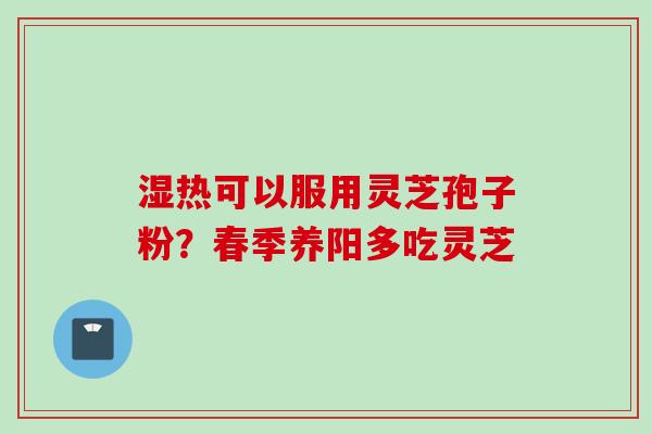 湿热可以服用灵芝孢子粉？春季养阳多吃灵芝