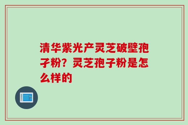 清华紫光产灵芝破壁孢孑粉?灵芝孢子粉是怎么样的