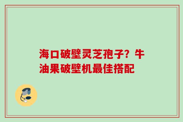 海口破壁灵芝孢子？牛油果破壁机最佳搭配