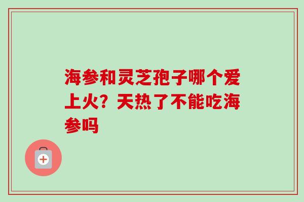 海参和灵芝孢子哪个爱上火？天热了不能吃海参吗