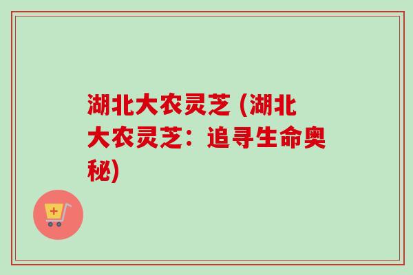 湖北大农灵芝 (湖北大农灵芝:追寻生命奥秘)