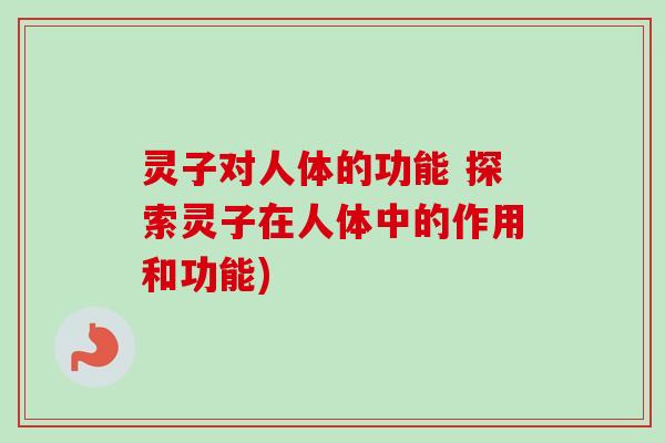 灵子对人体的功能 探索灵子在人体中的作用和功能)