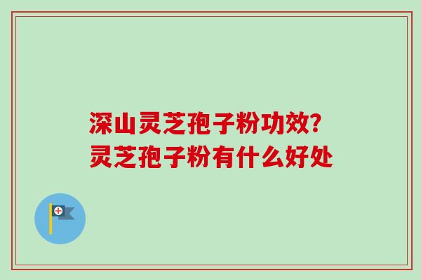深山灵芝孢子粉功效？灵芝孢子粉有什么好处