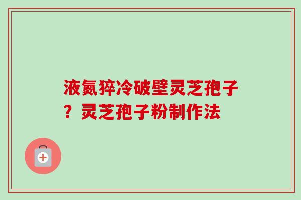 液氮猝冷破壁灵芝孢子?灵芝孢子粉制作法