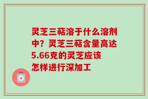 灵芝三萜溶于什么溶剂中？灵芝三萜含量高达5.66克的灵芝应该怎样进行深加工