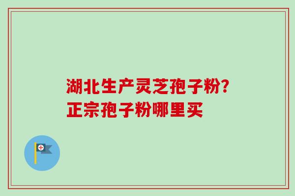 湖北生产灵芝孢子粉？正宗孢子粉哪里买