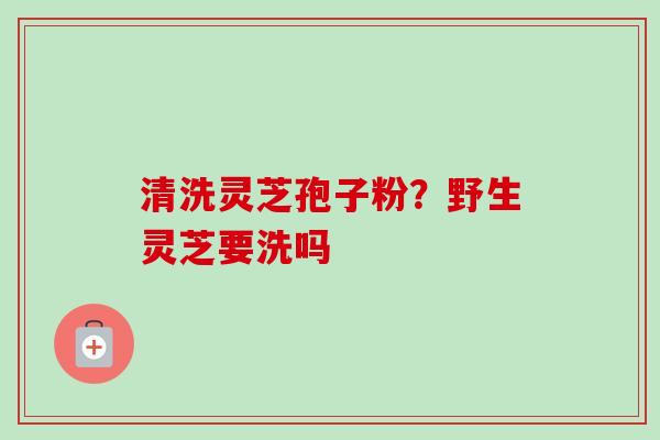 清洗灵芝孢子粉？野生灵芝要洗吗