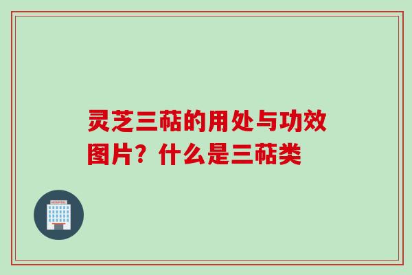 灵芝三萜的用处与功效图片？什么是三萜类
