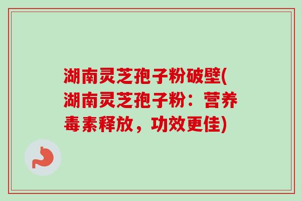 湖南灵芝孢子粉破壁(湖南灵芝孢子粉:营养毒素释放,功效更佳)