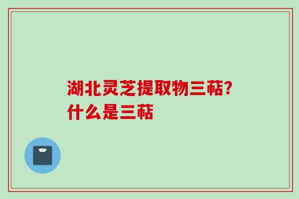 湖北灵芝提取物三萜?什么是三萜