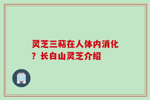 灵芝三萜在人体内消化?长白山灵芝介绍