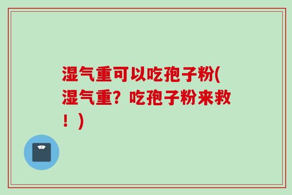 湿气重可以吃孢子粉(湿气重？吃孢子粉来救！)