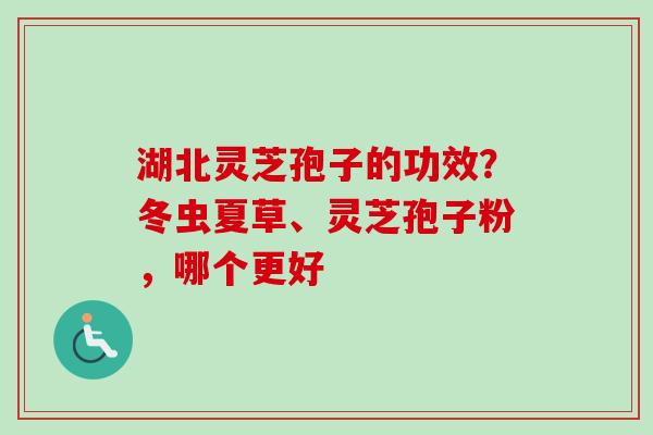 湖北灵芝孢子的功效?冬虫夏草、灵芝孢子粉,哪个更好