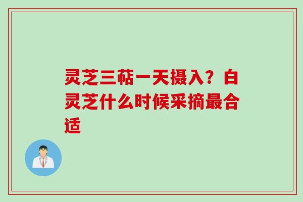 灵芝三萜一天摄入？白灵芝什么时候采摘合适