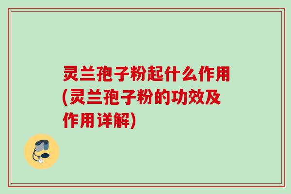 灵兰孢子粉起什么作用(灵兰孢子粉的功效及作用详解)