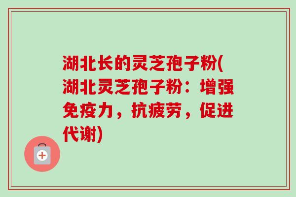 湖北长的灵芝孢子粉(湖北灵芝孢子粉：增强免疫力，抗疲劳，促进代谢)
